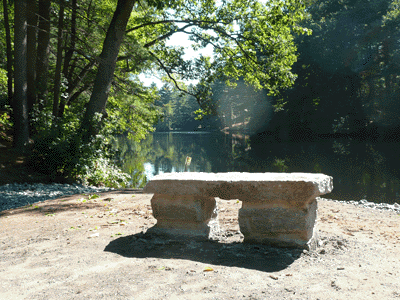 bench